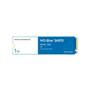 WD-WDS100T3B0C