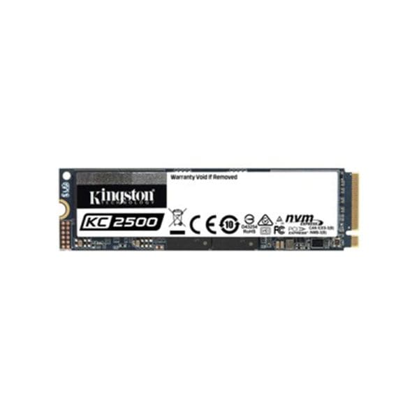 Kingston-SKC2500M8500G